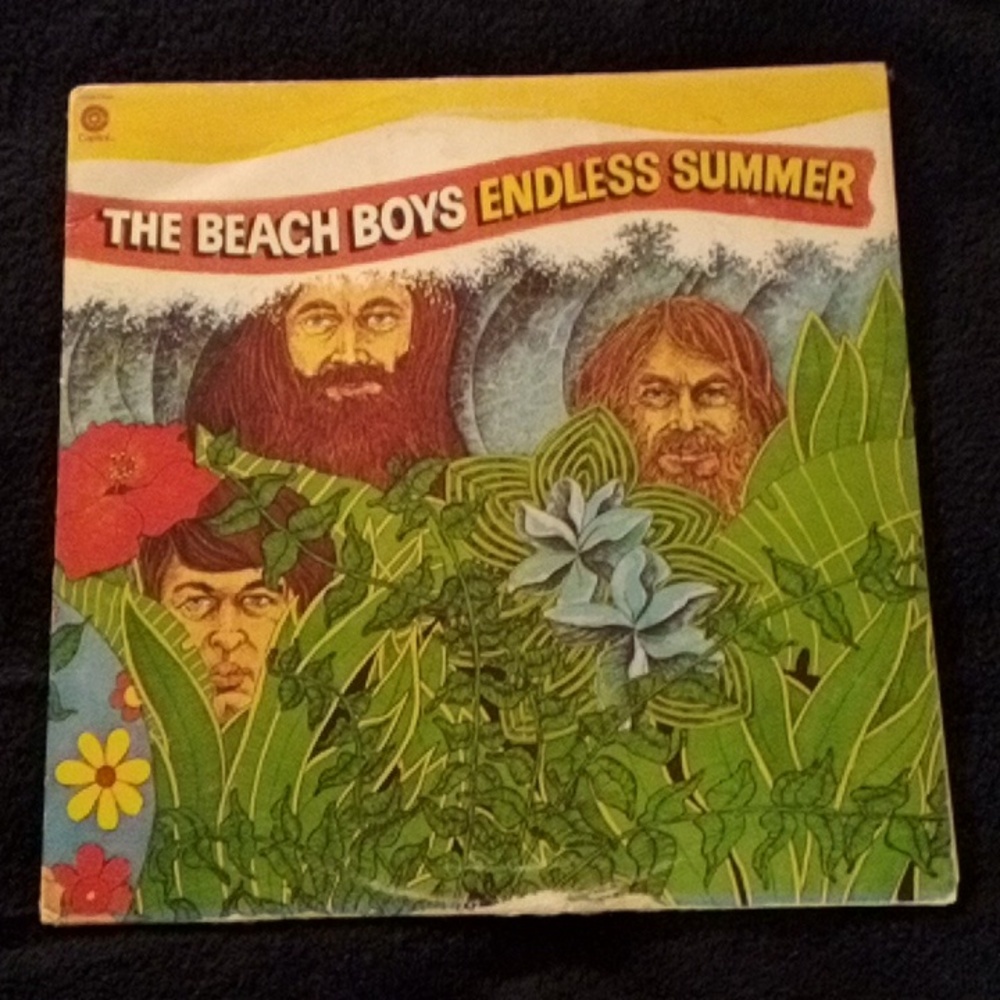VINTAGE THE BEACH BOYS ENDLESS SUMMER 2 RECORD ALBUMS WITH POSTER